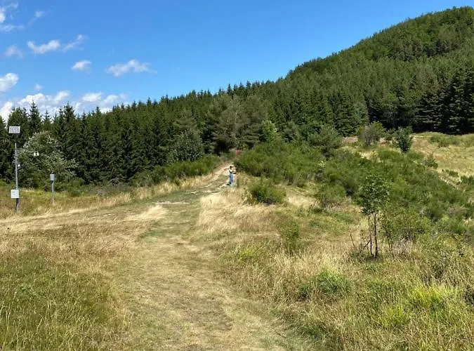 Ca' Alba Lejlighed *