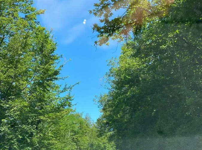 Apartment Ca' Alba Sestola