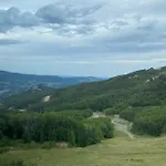 Ca' Alba *