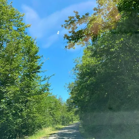 Apartamento Ca' Alba Sestola